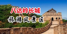 殴美美女操B网中国北京-八达岭长城旅游风景区